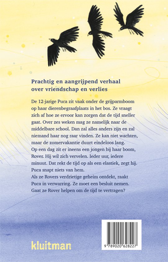 Boekcover achterkant met vogels en tekst. 'Prachtig en aangrijpend verhaal over vriendschap en verlies.'