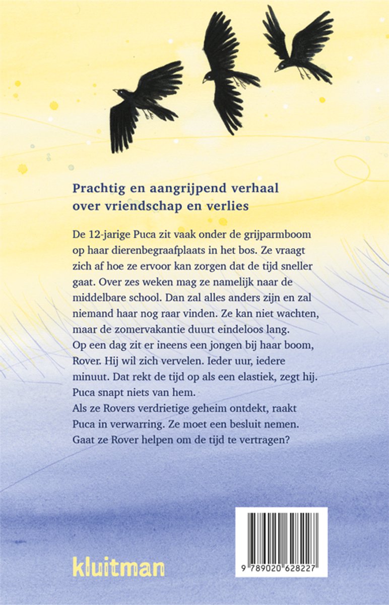 Boekcover achterkant met vogels en tekst. 'Prachtig en aangrijpend verhaal over vriendschap en verlies.'