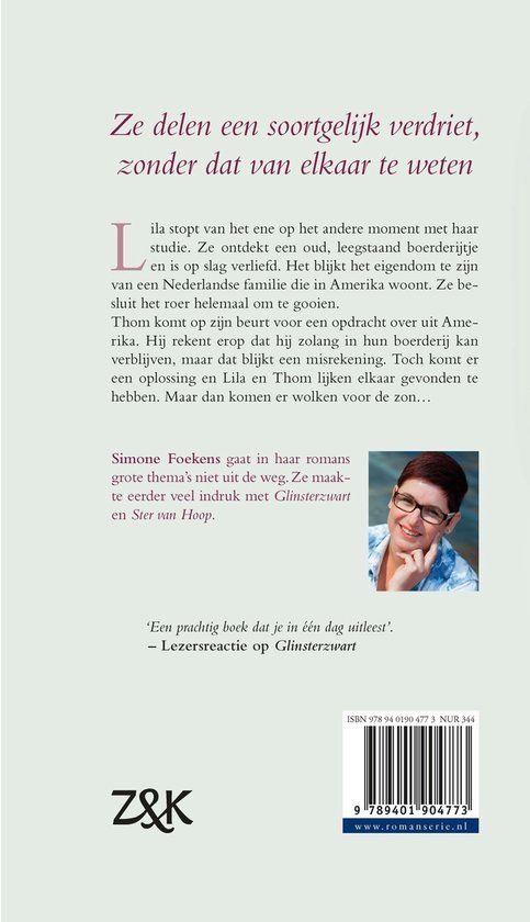 Gevonden droom - cover