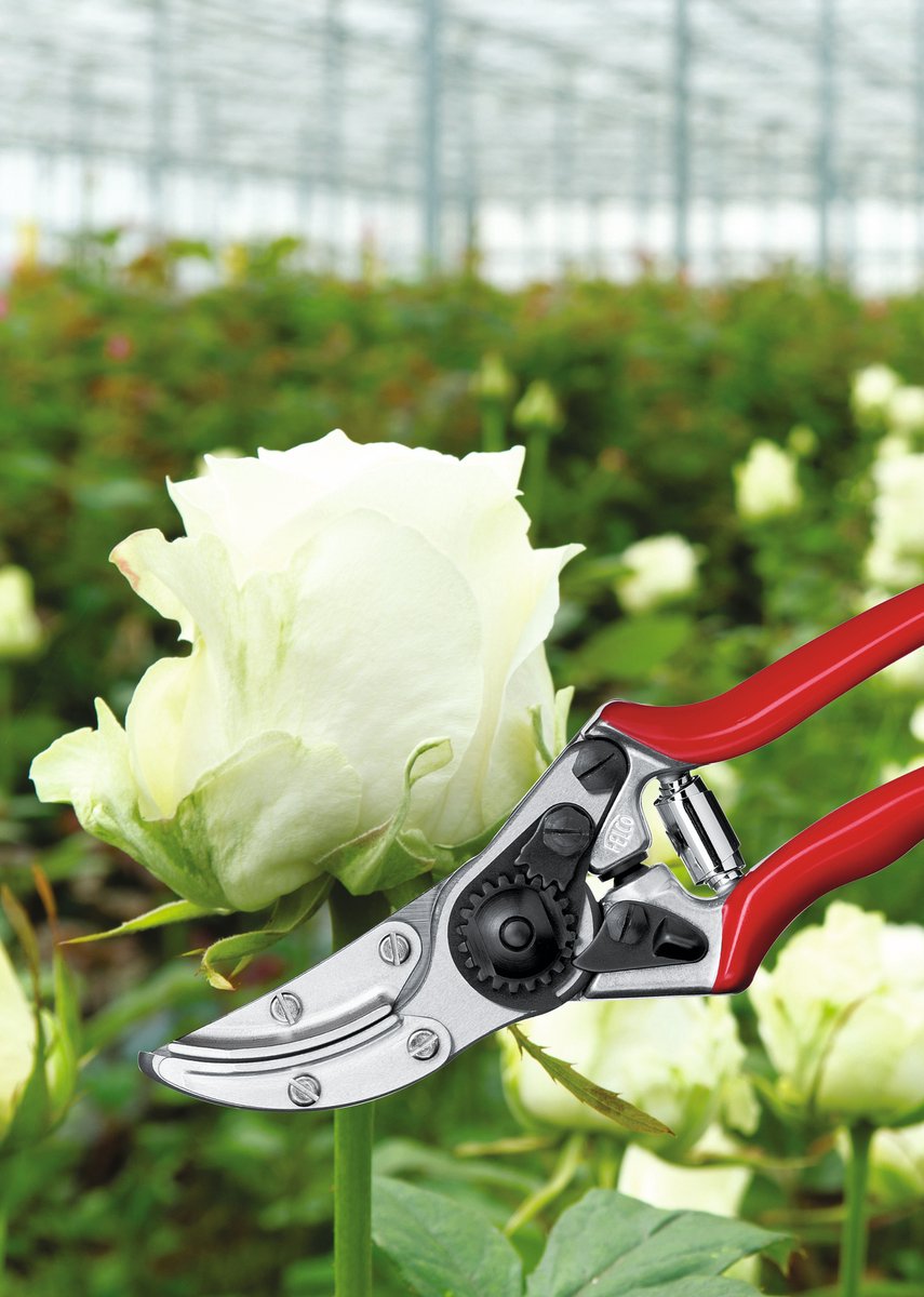 Felco 100 Rozen Snoeischaar