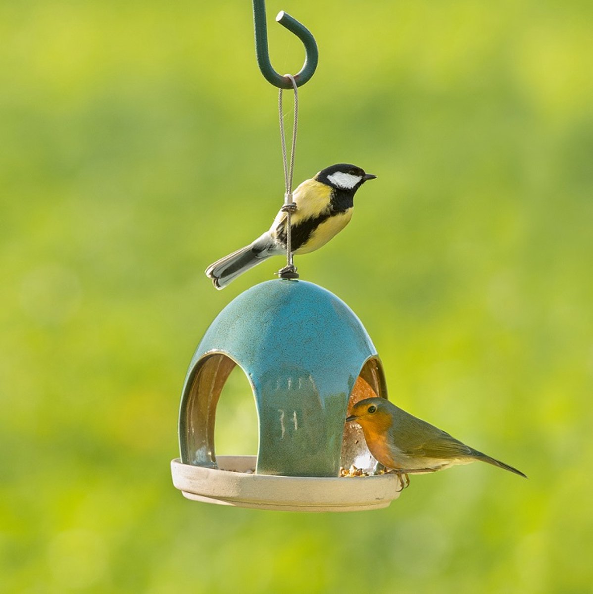 CJ Wildlife Vogelvoederhuisje voor Kleine Vogels & Tuinvogels van C J Wildlife — cadeau in Wonen & Interieur - foto 4