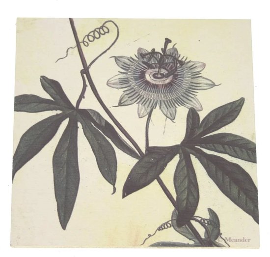onderzetter-hout-passiebloem-10x10cm-bol