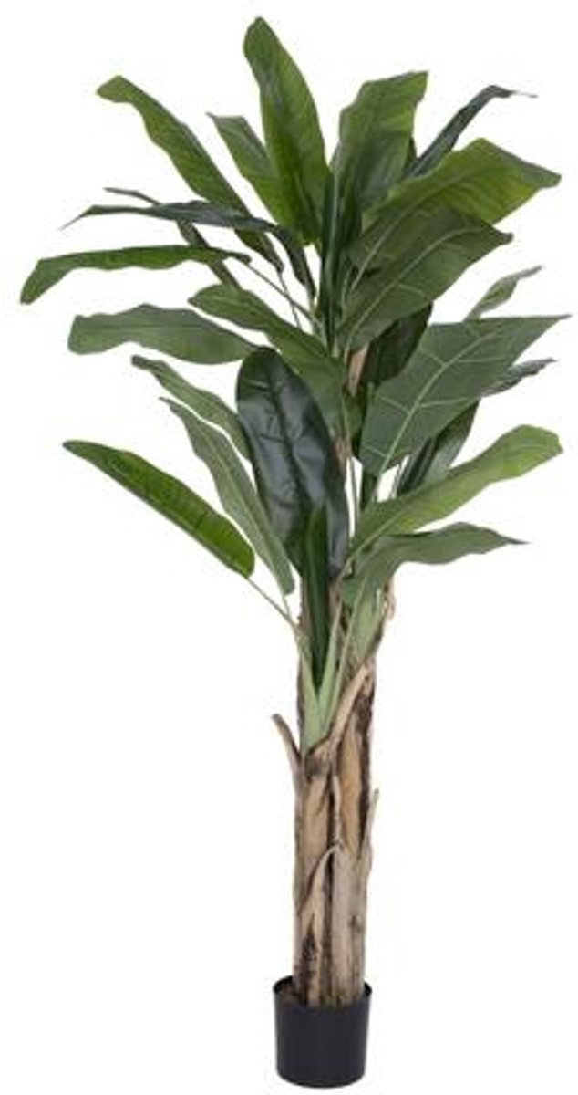 Pottery Pots Kunstplant - Banana tree L - H205cm - Indoor - Green