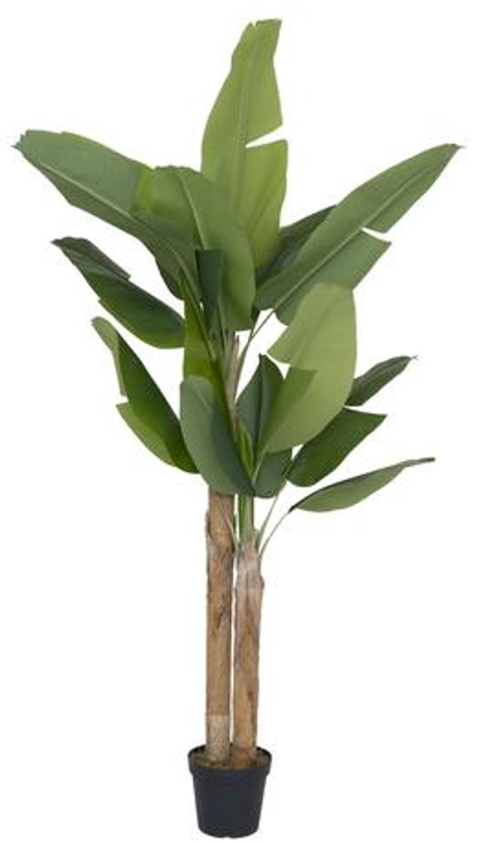 Pottery Pots Kunstplant - Banana tree XL - H220cm - Indoor - Green