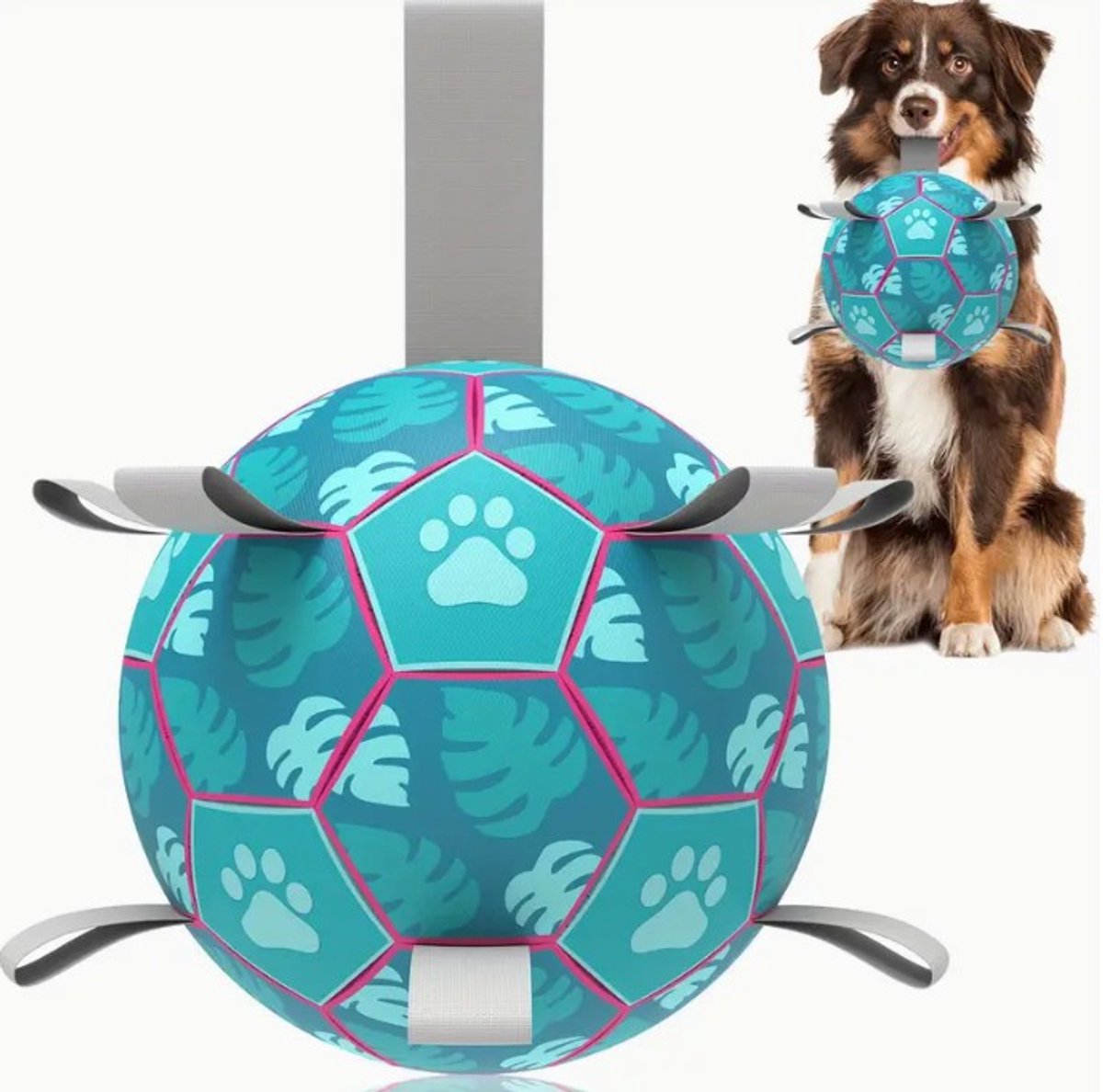 Dutchers® Hondenvoetbal met Touw – Ø 20,3 cm – Opblaasbare Interactieve Speelbal voor Honden – - Hondenspeelgoed - Hondenspeeltje - Met Ingebouwd Touw – Voor Binnen & Buiten – Geschikt voor Kleine, Middelgrote & Grote Honden – Meerblauw