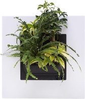 LivePicture GO verticale plantenbak - wit