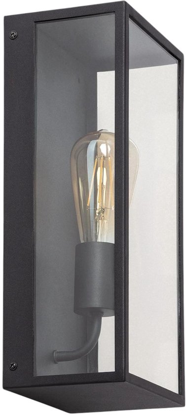 Naofe Wandlamp voor buiten, Wandlamp Zwart, Zilver, 1-licht H3789551