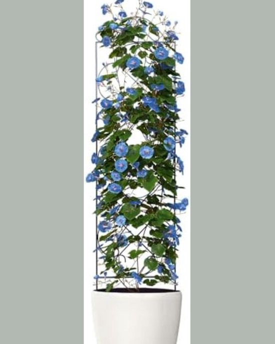 Tuinplant Klimrek, Verticaal Metalen Tuinlatwerk, Metalen Paraplu Klimlatwerk, Klimplanten en Plantensteunen voor Plantenbakken, Tuinwijnstok Bloem Decoratief Trellis (150CM Tuinplant Klimrek, Verticaal Metalen Tuinlatwerk, Metalen Paraplu Klimlatwerk, Klimplanten en Plantensteunen voor Plantenbakken, Tuinwijnstok Bloem Decoratief Trellis (150CM