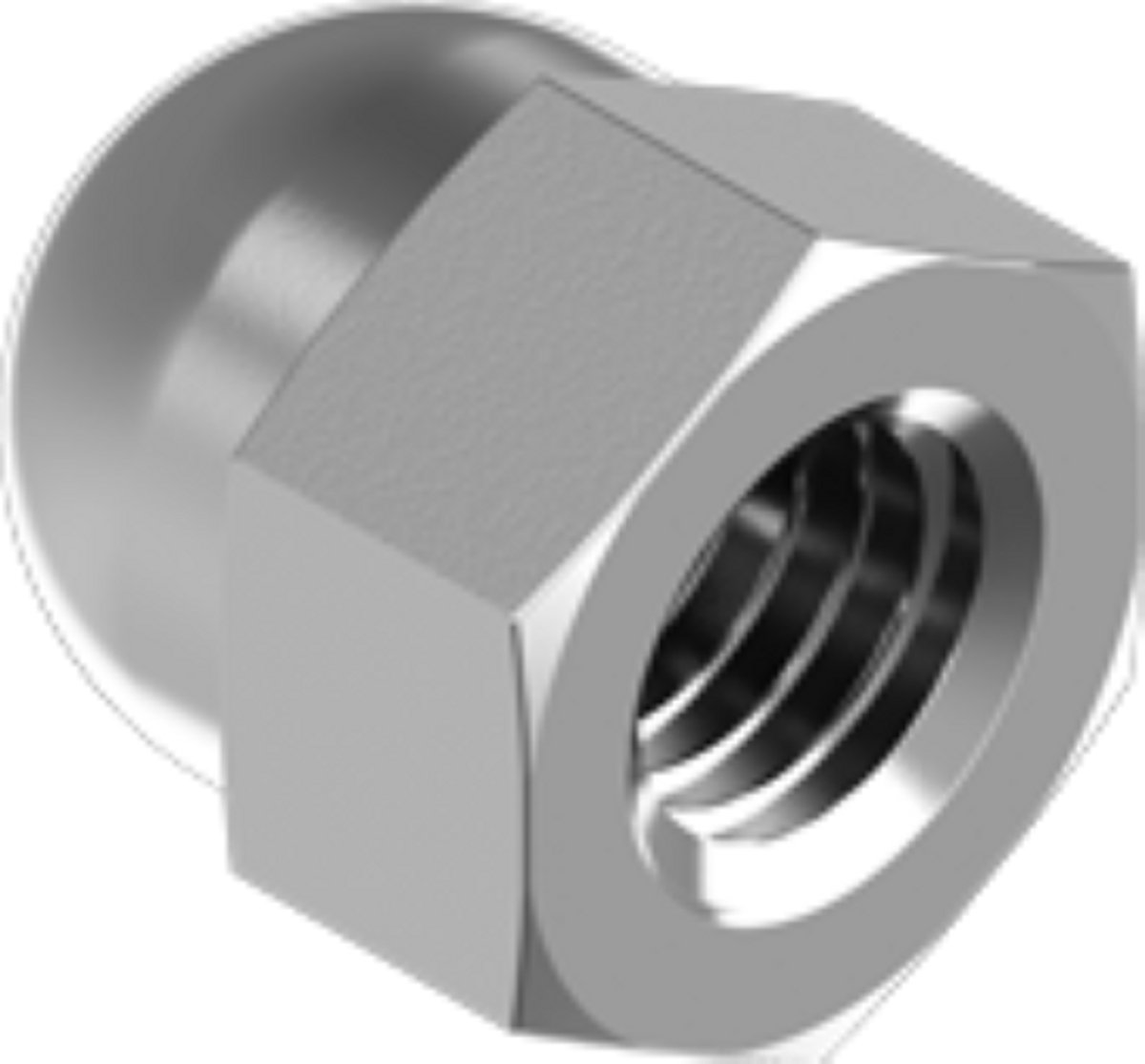 RVS zeskant dopmoer DIN 1587 A2 M16 per 5 stuks