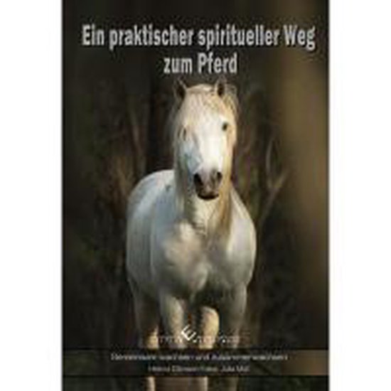 Ein praktischer spiritueller Weg zum Pferd - cover