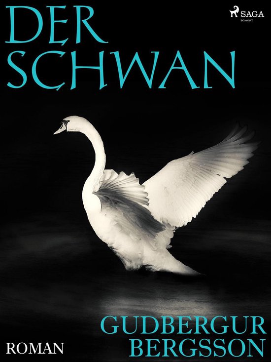 Der Schwan - cover