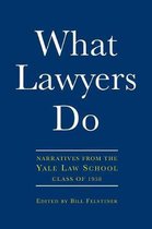 What Lawyers Do