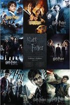 Poster Harry Potter Maxi 61 x 91 cm