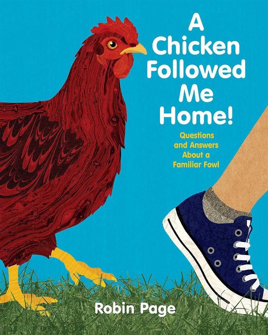 A Chicken Followed Me Home! - cover
