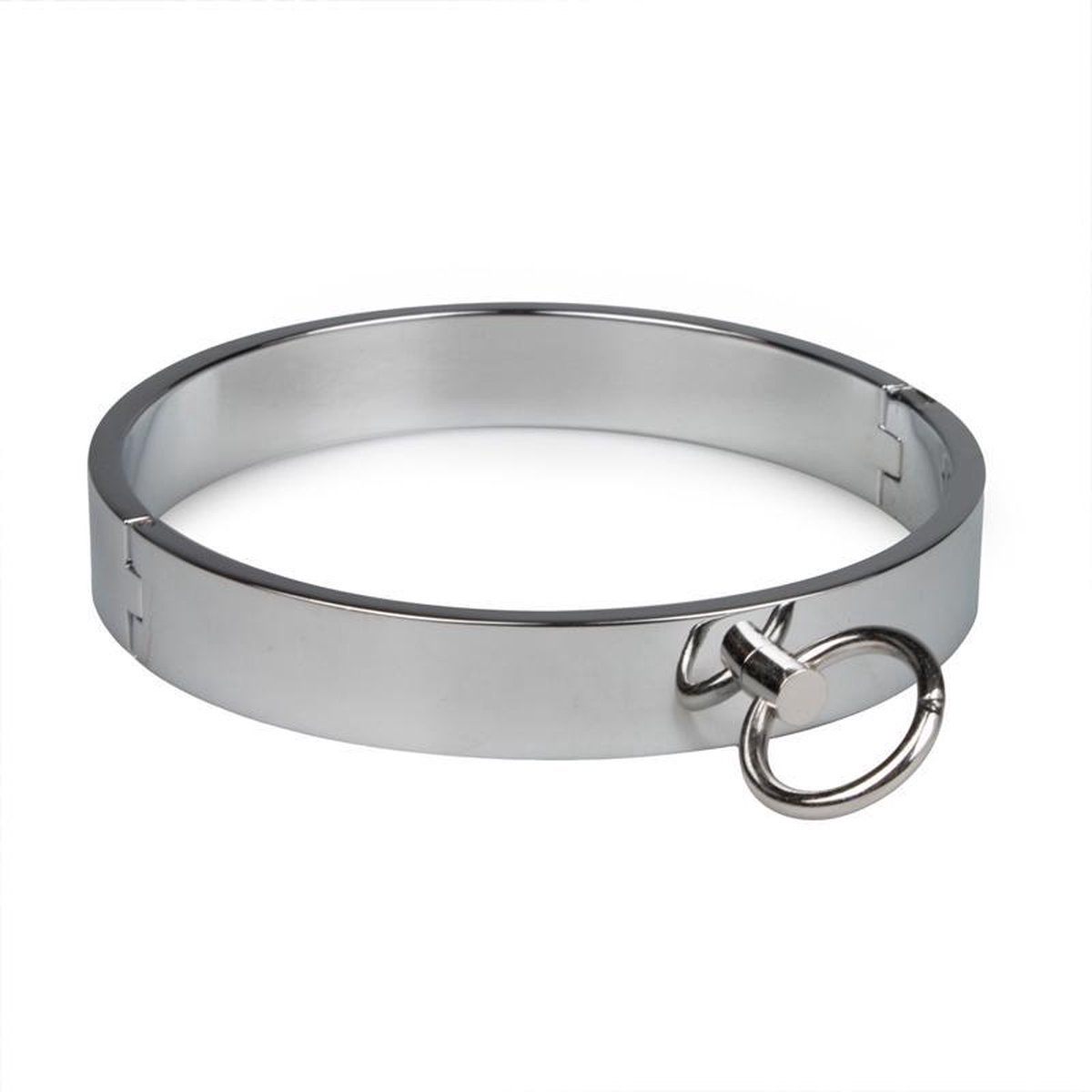 Zilveren metalen halsband met O-ring | bol.com