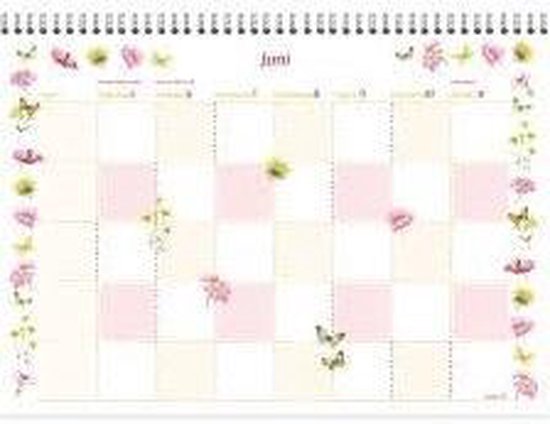 Janneke Brinkman familie weekkalender voor 5 personen 2017 | bol.com