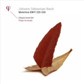 Collegium Vocale Gent, Philippe Herreweghe - Motetten Bwv 225-230 (2 LP)