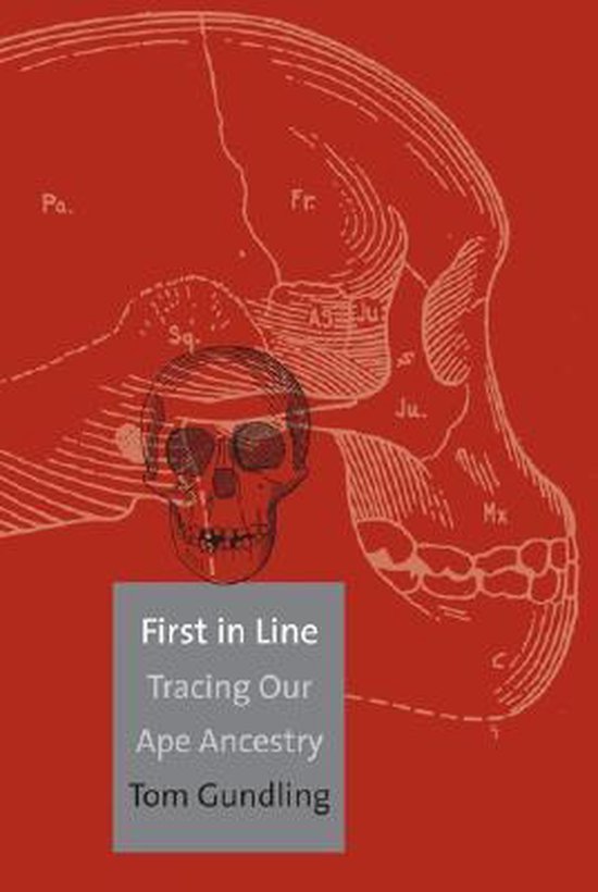 First in Line - Tracing Our Ape Ancestry
