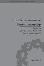 The Determinants of Entrepreneurship