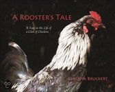 A Rooster's Tale