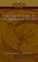 A Social History of the American Negro