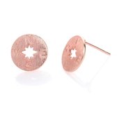 24/7 Jewelry Collection Kompas Oorbellen - Windstreek - Oorknopjes - Geborsteld - Minimalistisch - Rosé Goudkleurig