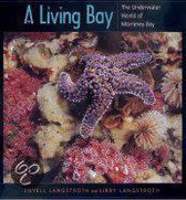 A Living Bay - The Underwater World of Monterey Bay