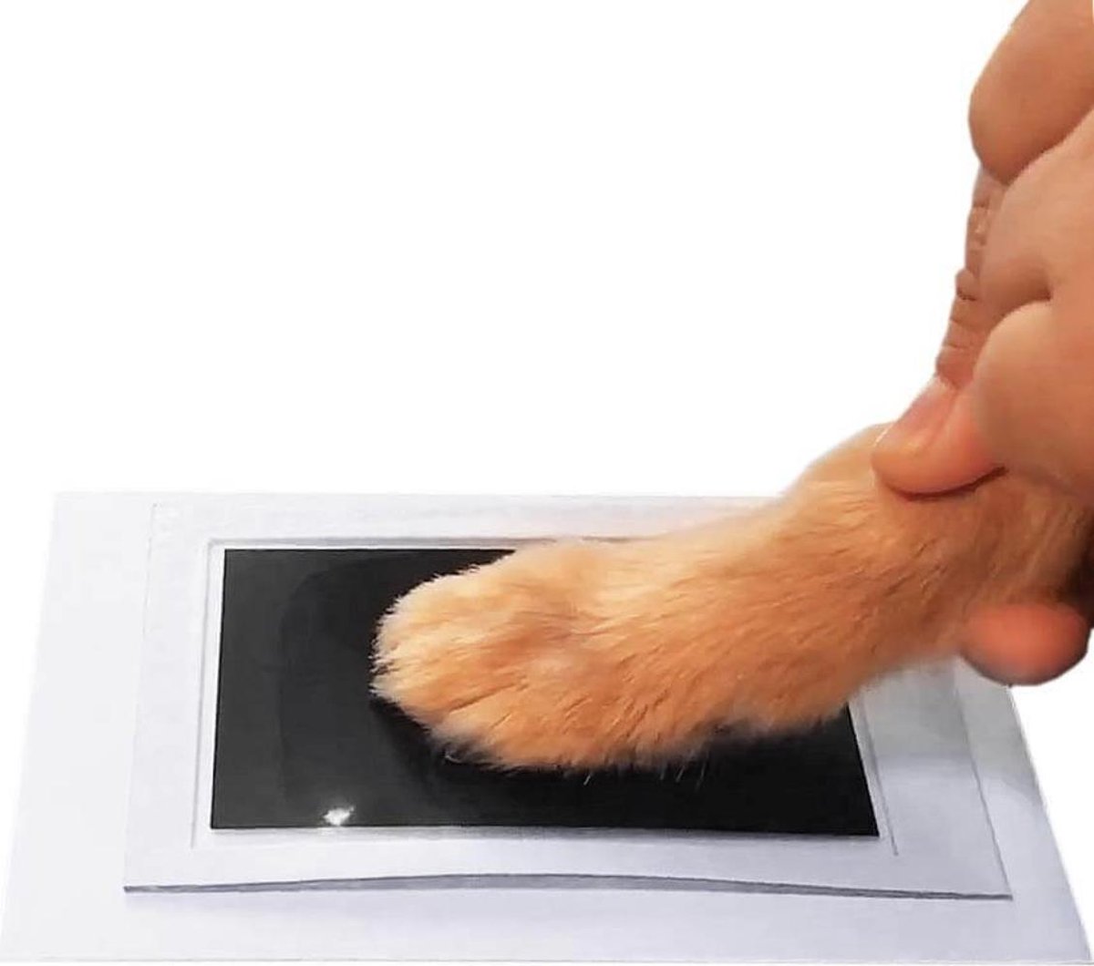 PrintMe - Paw Print Pad thumbnail 2