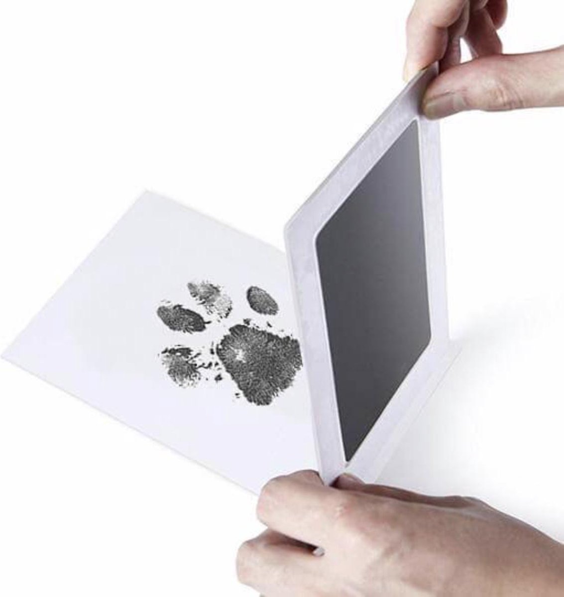 PrintMe - Paw Print Pad thumbnail 3