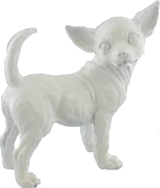 Chihuahua beeld hond - Wit Polyester - 27x28x13cm - Dielay | bol.com