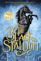 Black Stallion - The Black Stallion