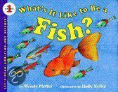What's it Like to be a Fish?