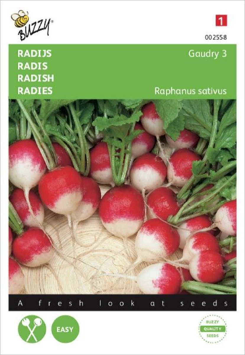 Buzzy Zaden - Radijs Gaudry - Raphanus sativus