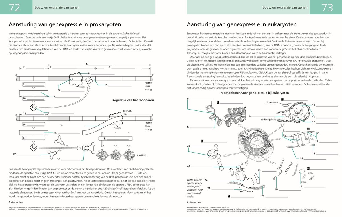 Biologie werk- en kleurboek voor zelfstudie, Renž Fester Kratz