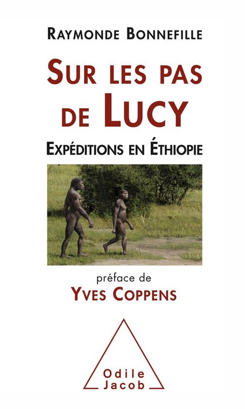 Sur les pas de Lucy - cover