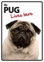 Pug Lives Here