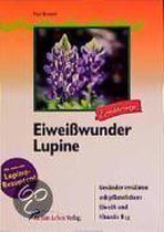 Eiweißwunder Lupine