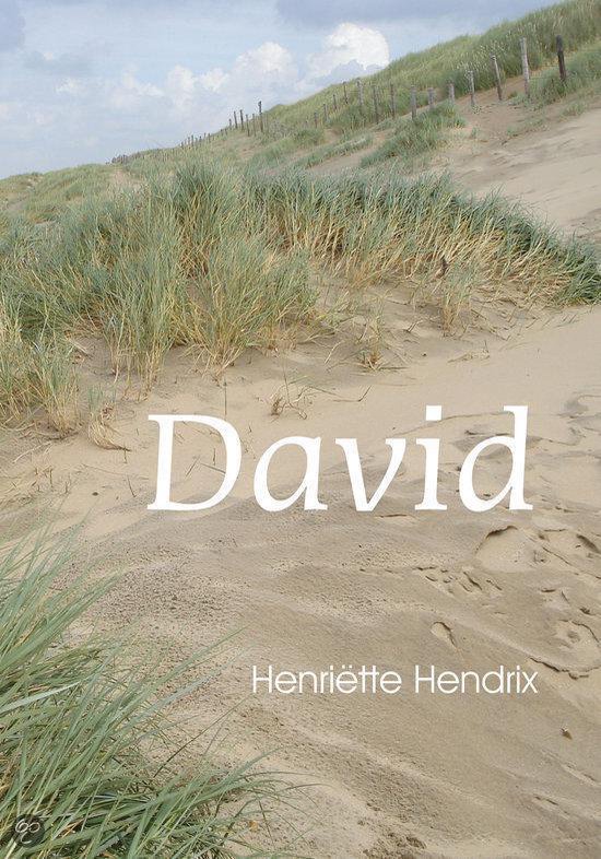 Cover van het boek 'David' van Henriëtte Hendrix