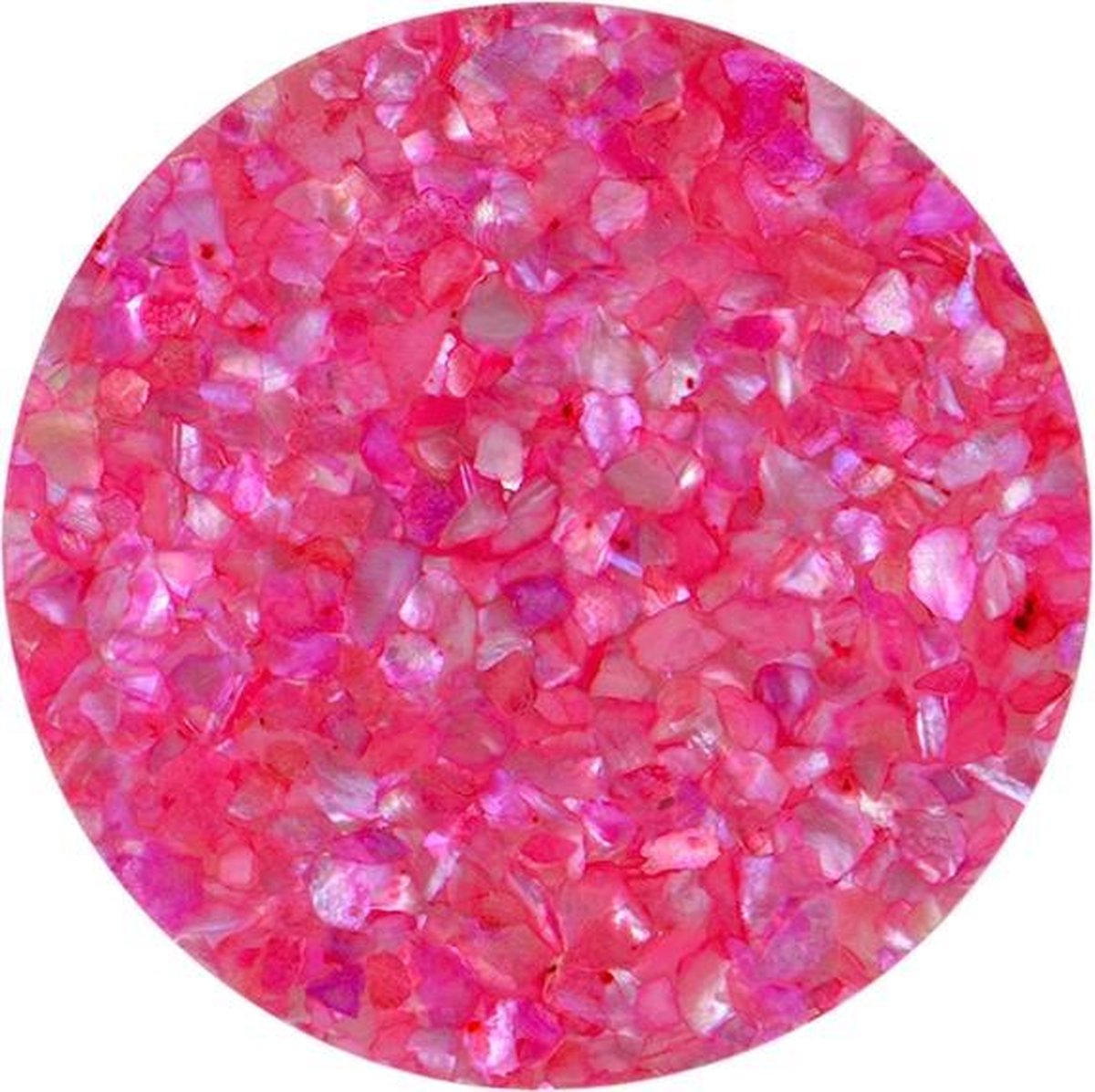 Quiges - Munthouder Munt 25mm Schelp Roze - EPRS008