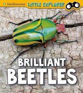 Insect Explorer Brilliant Beetles