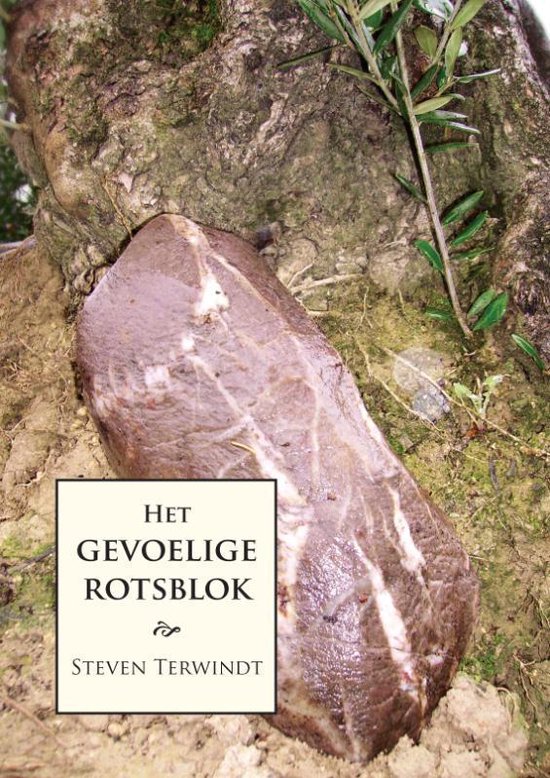 Cover van het boek 'Het gevoelige rotsblok' van Steven Terwindt