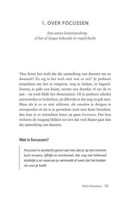 Titelpagina van een boek met "1. OVER FOCUSEN" en "Een eerste kennismaking".