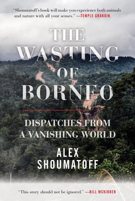 The Wasting of Borneo - cover