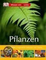 Pflanzen