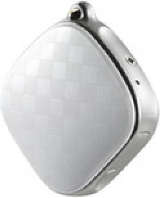 Minitrack GPS tracker sleutelhanger (wereldwijd bereik) bol