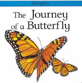 The Journey Of A Butterfly