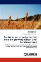 Reclamation of Salt-Affected Soils by Growing Wheat and Berseem Crops