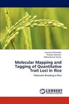 Molecular Mapping and Tagging of Quantitative Trait Loci in Rice