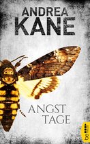 Romantic Suspense der Bestseller-Autorin Andrea Kane 2 - Angsttage