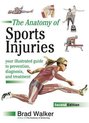 Anatomy Of Sports Injuries